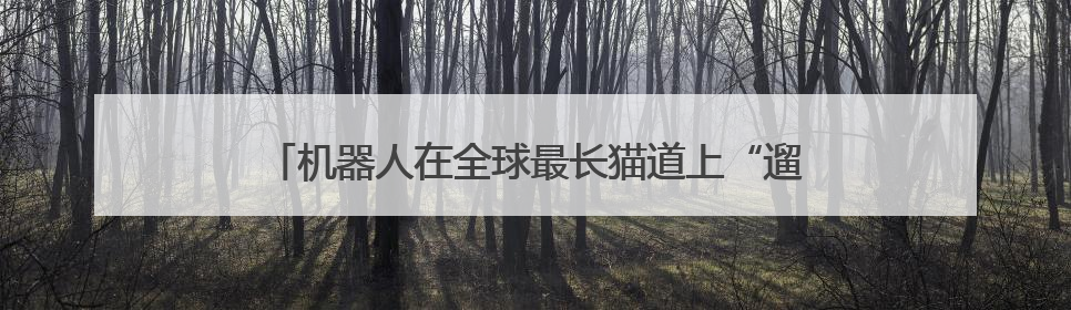 机器人在全球最长猫道上“遛狗”，完成3公里行走挑战