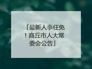 最新人事任免！商丘市人大常委会公告