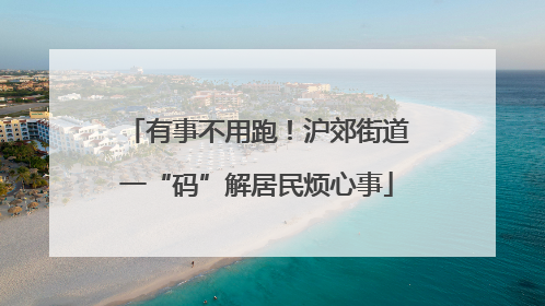 有事不用跑！沪郊街道一“码”解居民烦心事