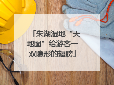 朱湖湿地“天地图”给游客一双隐形的翅膀