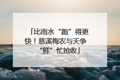 比雨水“跑”得更快！慈溪梅农与天争“鲜”忙抢收