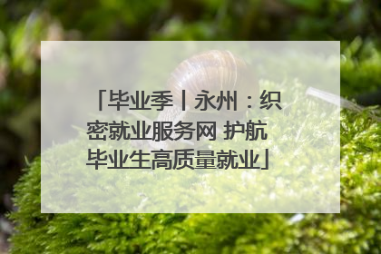 毕业季丨永州：织密就业服务网 护航毕业生高质量就业