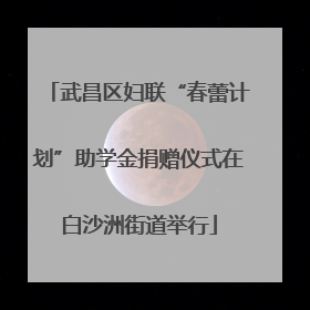 武昌区妇联“春蕾计划”助学金捐赠仪式在白沙洲街道举行