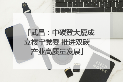 武昌：中碳登大厦成立楼宇党委 推进双碳产业高质量发展