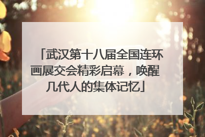 武汉第十八届全国连环画展交会精彩启幕，唤醒几代人的集体记忆
