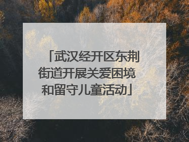 武汉经开区东荆街道开展关爱困境和留守儿童活动