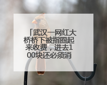 武汉一网红大桥桥下被指圈起来收费，进去100块还必须消费？当地回应