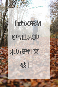武汉东湖飞鸟世界迎来历史性突破