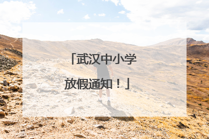 武汉中小学放假通知！