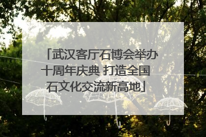 武汉客厅石博会举办十周年庆典 打造全国石文化交流新高地