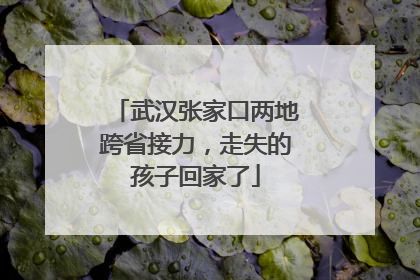 武汉张家口两地跨省接力，走失的孩子回家了