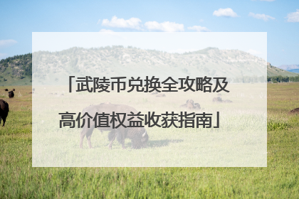 武陵币兑换全攻略及高价值权益收获指南