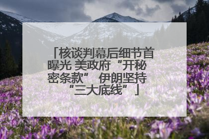 核谈判幕后细节首曝光 美政府“开秘密条款” 伊朗坚持“三大底线”