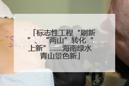 标志性工程“刷新”、“两山”转化“上新”……海南绿水青山景色新
