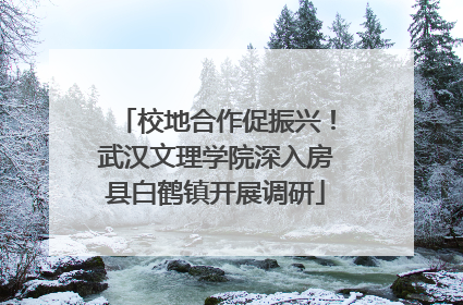 校地合作促振兴！武汉文理学院深入房县白鹤镇开展调研