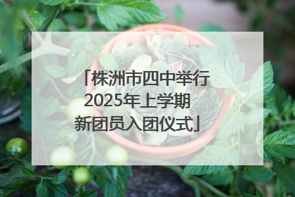 株洲市四中举行2025年上学期新团员入团仪式