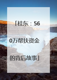 桂东：560万帮扶资金的背后故事