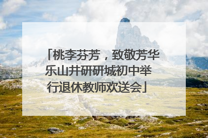桃李芬芳，致敬芳华 乐山井研研城初中举行退休教师欢送会