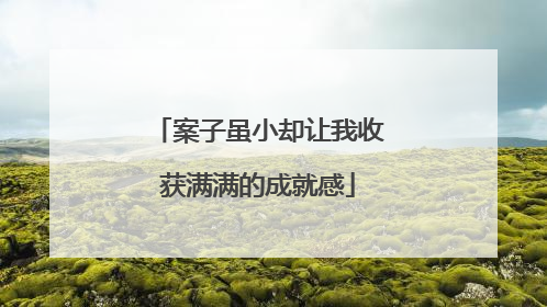 案子虽小却让我收获满满的成就感