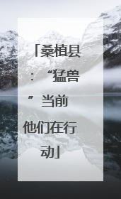 桑植县：“猛兽”当前 他们在行动