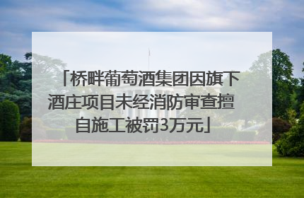 桥畔葡萄酒集团因旗下酒庄项目未经消防审查擅自施工被罚3万元