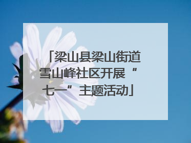 梁山县梁山街道雪山峰社区开展“七一”主题活动