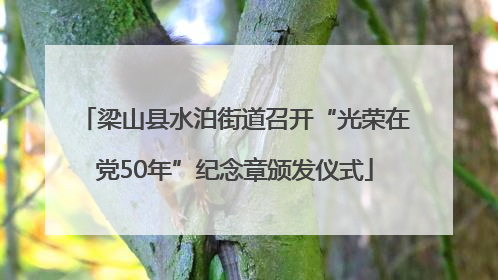 梁山县水泊街道召开“光荣在党50年”纪念章颁发仪式