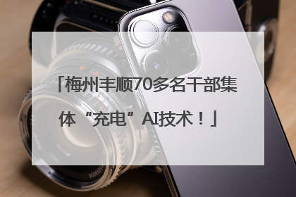 梅州丰顺70多名干部集体“充电”AI技术！
