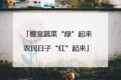 棚室蔬菜“绿”起来 农民日子“红”起来