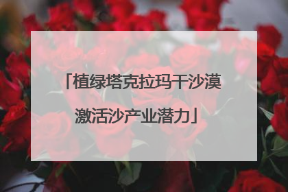 植绿塔克拉玛干沙漠 激活沙产业潜力