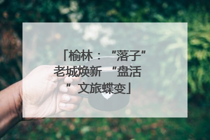 榆林：“落子”老城焕新 “盘活”文旅蝶变