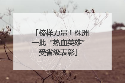 榜样力量！株洲一批“热血英雄”受省级表彰