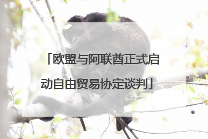 欧盟与阿联酋正式启动自由贸易协定谈判