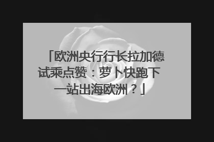 欧洲央行行长拉加德试乘点赞：萝卜快跑下一站出海欧洲？