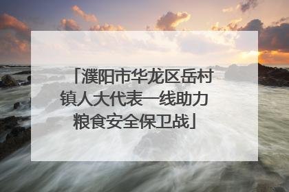 濮阳市华龙区岳村镇人大代表一线助力粮食安全保卫战