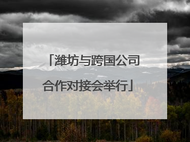 潍坊与跨国公司合作对接会举行