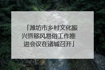 潍坊市乡村文化振兴暨移风易俗工作推进会议在诸城召开