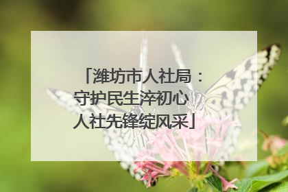 潍坊市人社局：守护民生淬初心 人社先锋绽风采