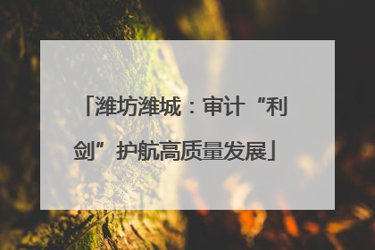 潍坊潍城：审计“利剑”护航高质量发展