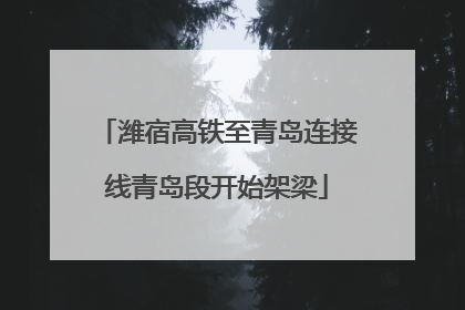 潍宿高铁至青岛连接线青岛段开始架梁