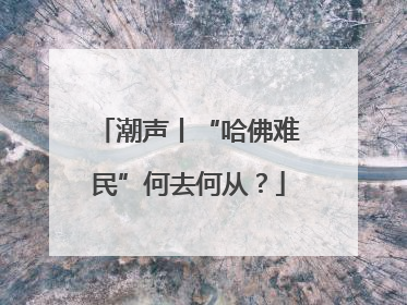 潮声丨“哈佛难民”何去何从？