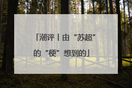 潮评丨由“苏超”的“梗”想到的