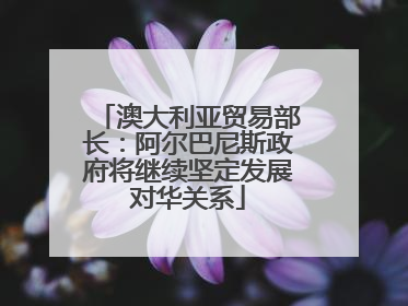 澳大利亚贸易部长：阿尔巴尼斯政府将继续坚定发展对华关系