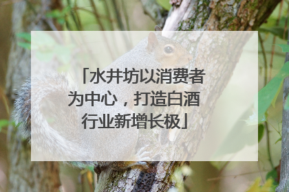 水井坊以消费者为中心，打造白酒行业新增长极