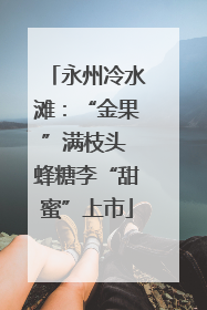 永州冷水滩：“金果”满枝头 蜂糖李“甜蜜”上市