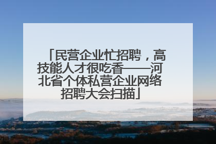 民营企业忙招聘，高技能人才很吃香——河北省个体私营企业网络招聘大会扫描