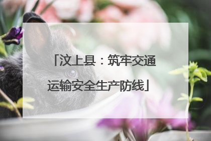 汶上县：筑牢交通运输安全生产防线