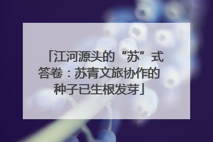 江河源头的“苏”式答卷：苏青文旅协作的种子已生根发芽