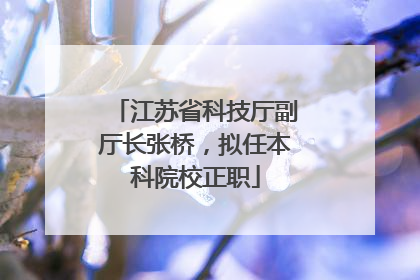 江苏省科技厅副厅长张桥，拟任本科院校正职