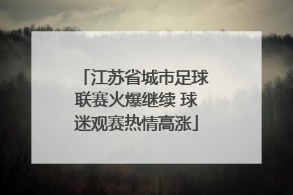 江苏省城市足球联赛火爆继续 球迷观赛热情高涨